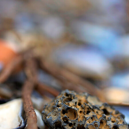 Rock Beach - Nature Photography Print For Sale - Aimee Giese, Greeblehaus