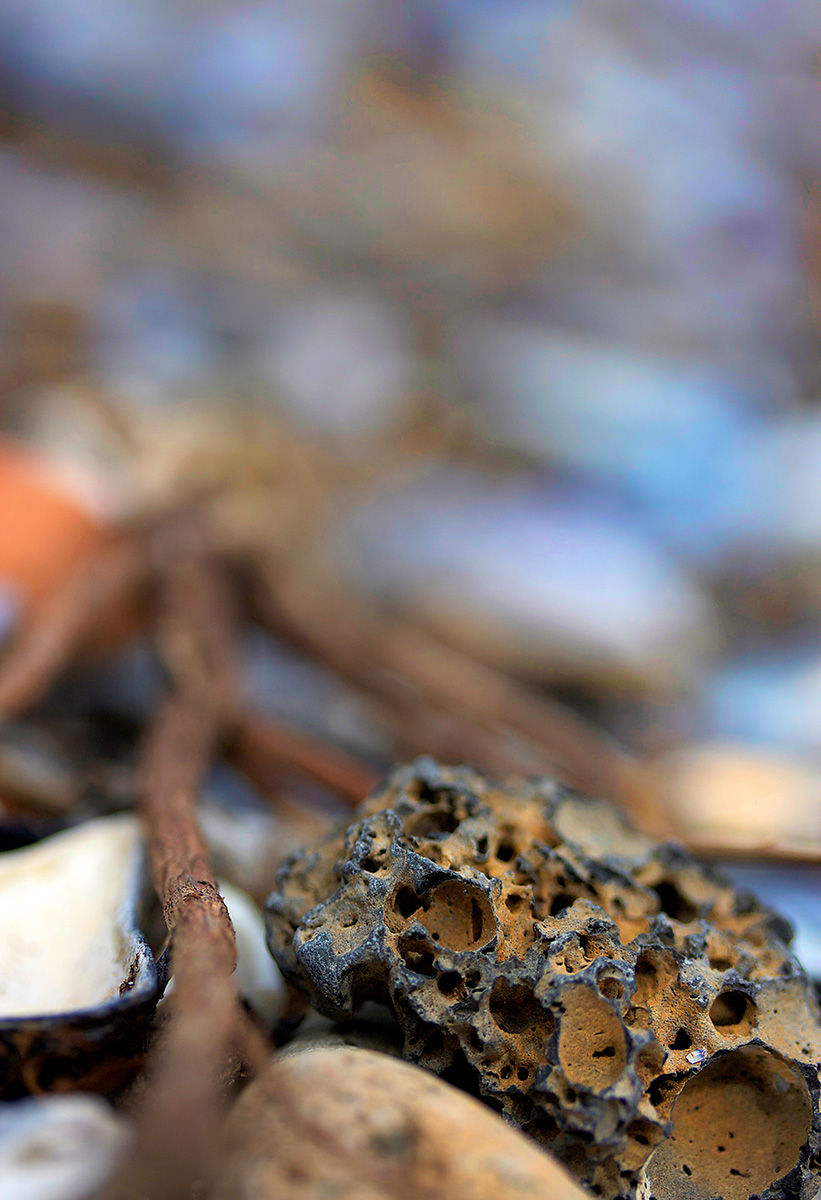 Rock Beach - Nature Photography Print For Sale - Aimee Giese, Greeblehaus