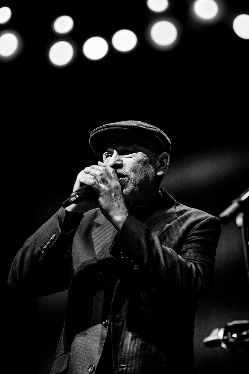 The The (Matt Johnson) Concert Photo for Sale - Denver Concert Photos